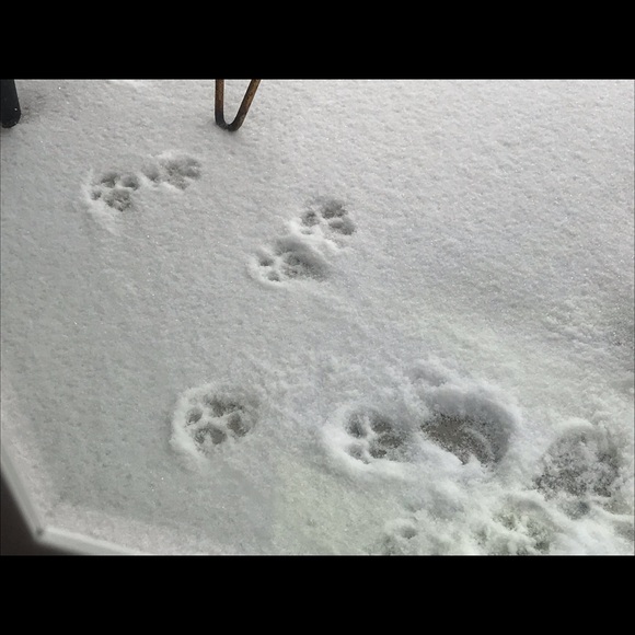 Meet your Posher, Liz - Picture 1 of 1